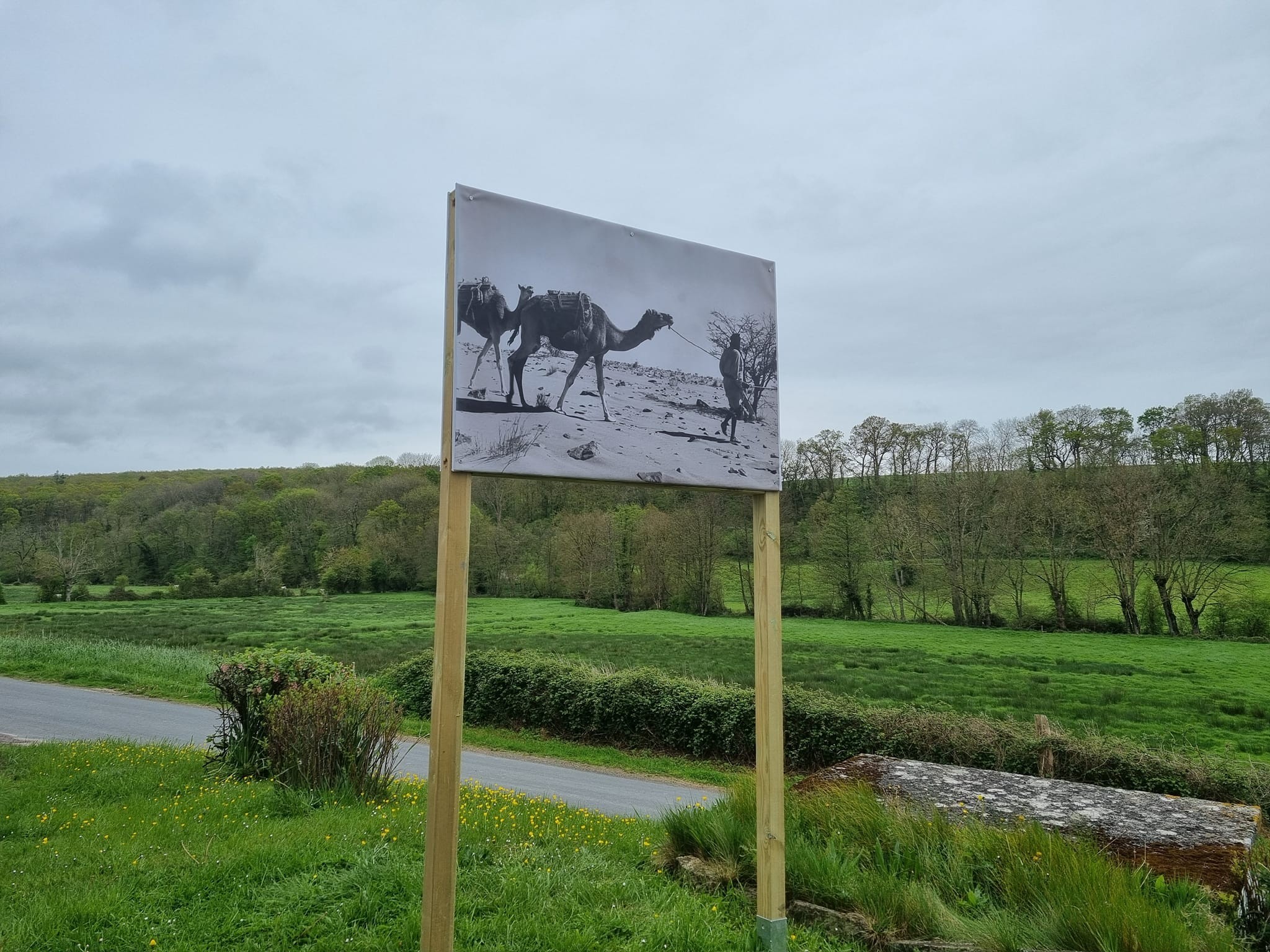 Contraste désert mauritanien campagne normande