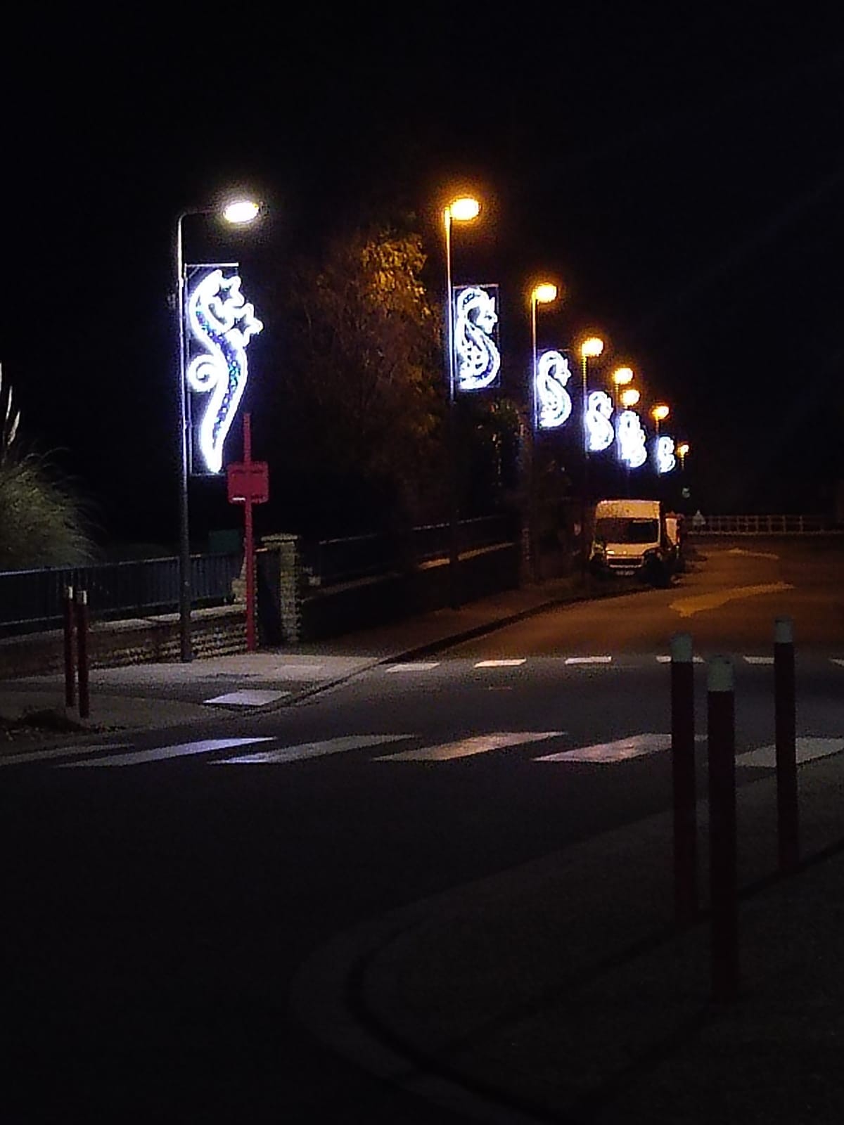 Illumination de noyers bocage