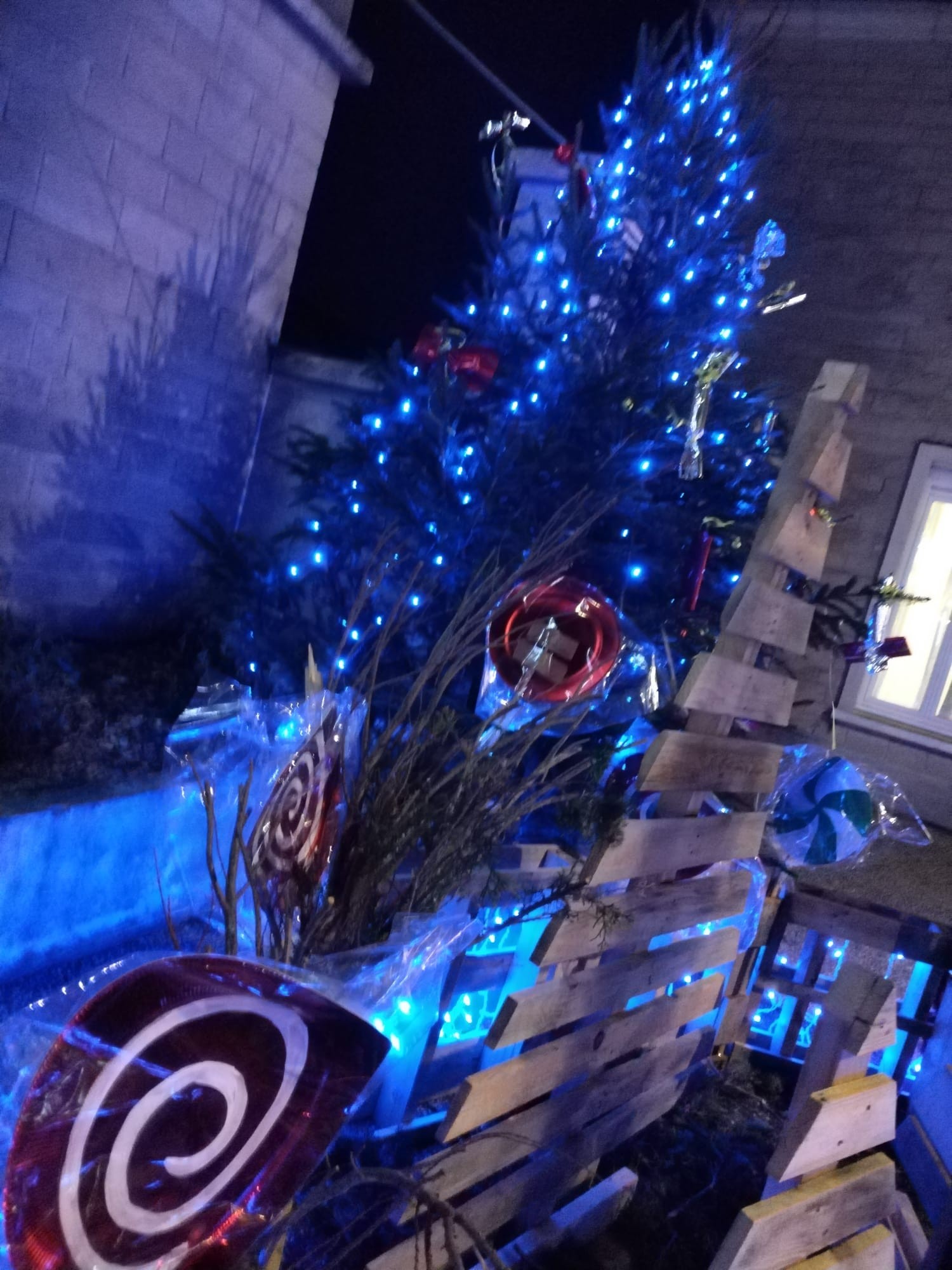 Sapin devant la mairie de noyers bocage