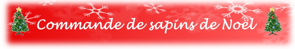 20191108 commande de sapin de noel