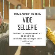 2023 06 18 vide sellerie