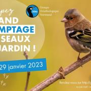 20230106grand comptage des oieaux