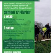 20240217 affiche a3 plantation de haies