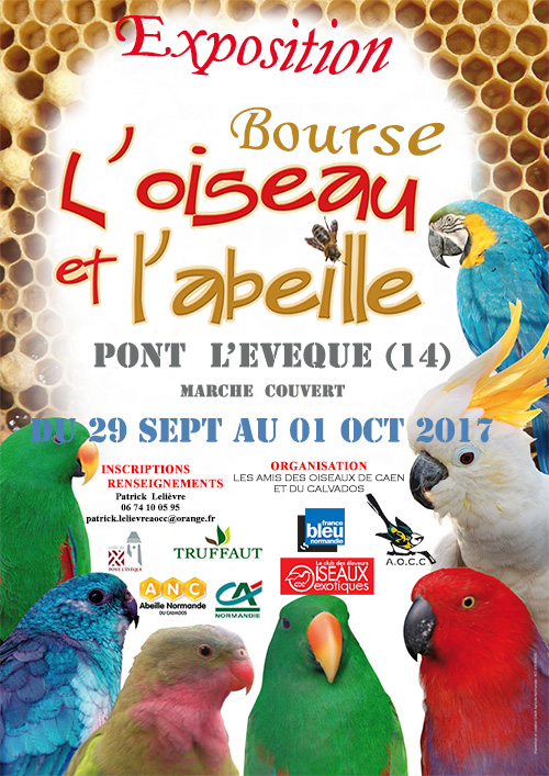 Affiche pont l eveque 2017