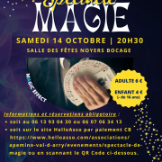 Affiche spectacle magie