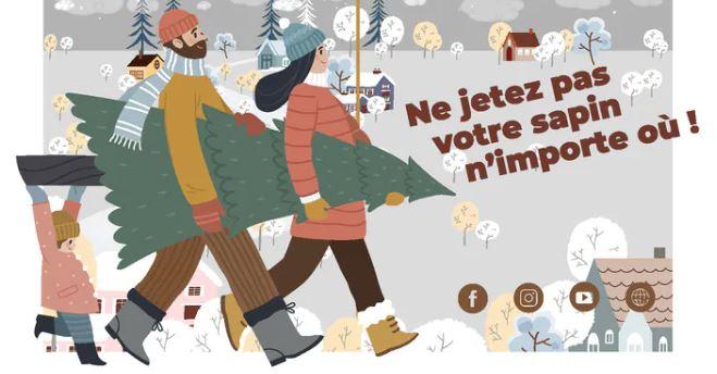 Collecte des sapins de Noël