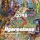 Exposition hyeronimus 13 au 22 juin 2025