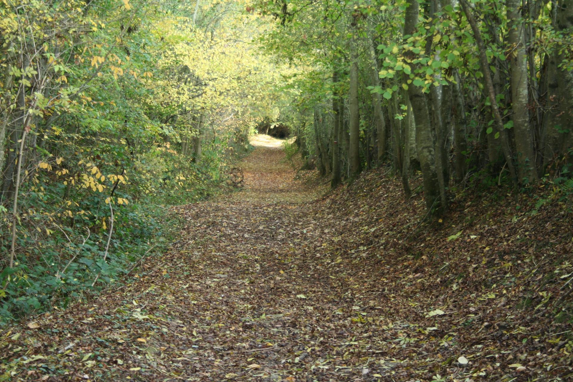 Chemin de Noyers-Missy