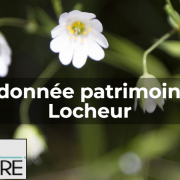 Randonnee patrimoine le locheur le 15 juillet 2023