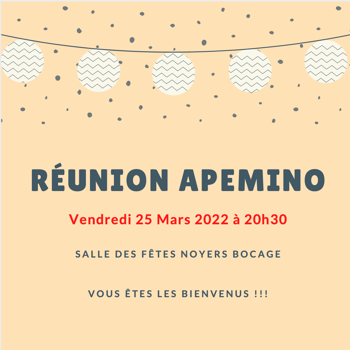 Reunion apemino 25 mars 2022